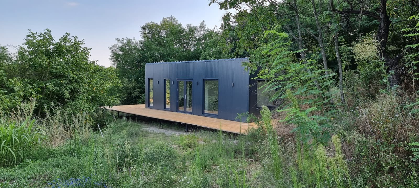 Tiny Alpha - Liniștea din pădure